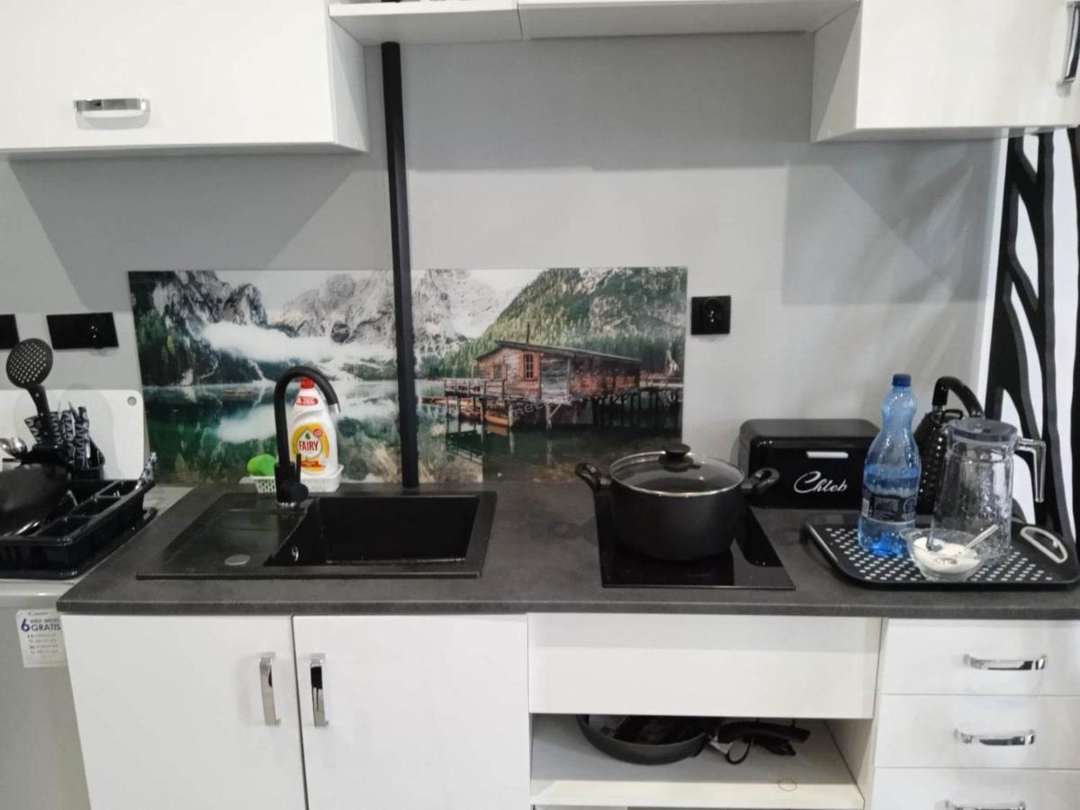 Appartamento Komfortowy Apartament U Baltazara Duszniki Zdrój Esterno foto